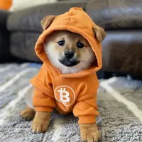 Dog (Bitcoin)图标