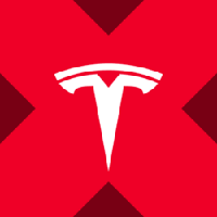 Tesla tokenized stock (xStock)图标