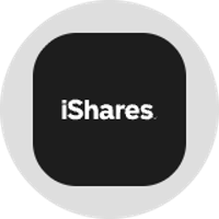 iShares Bitcoin Trust Tokenized Stock (Ondo)图标