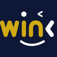 WINkLink图标