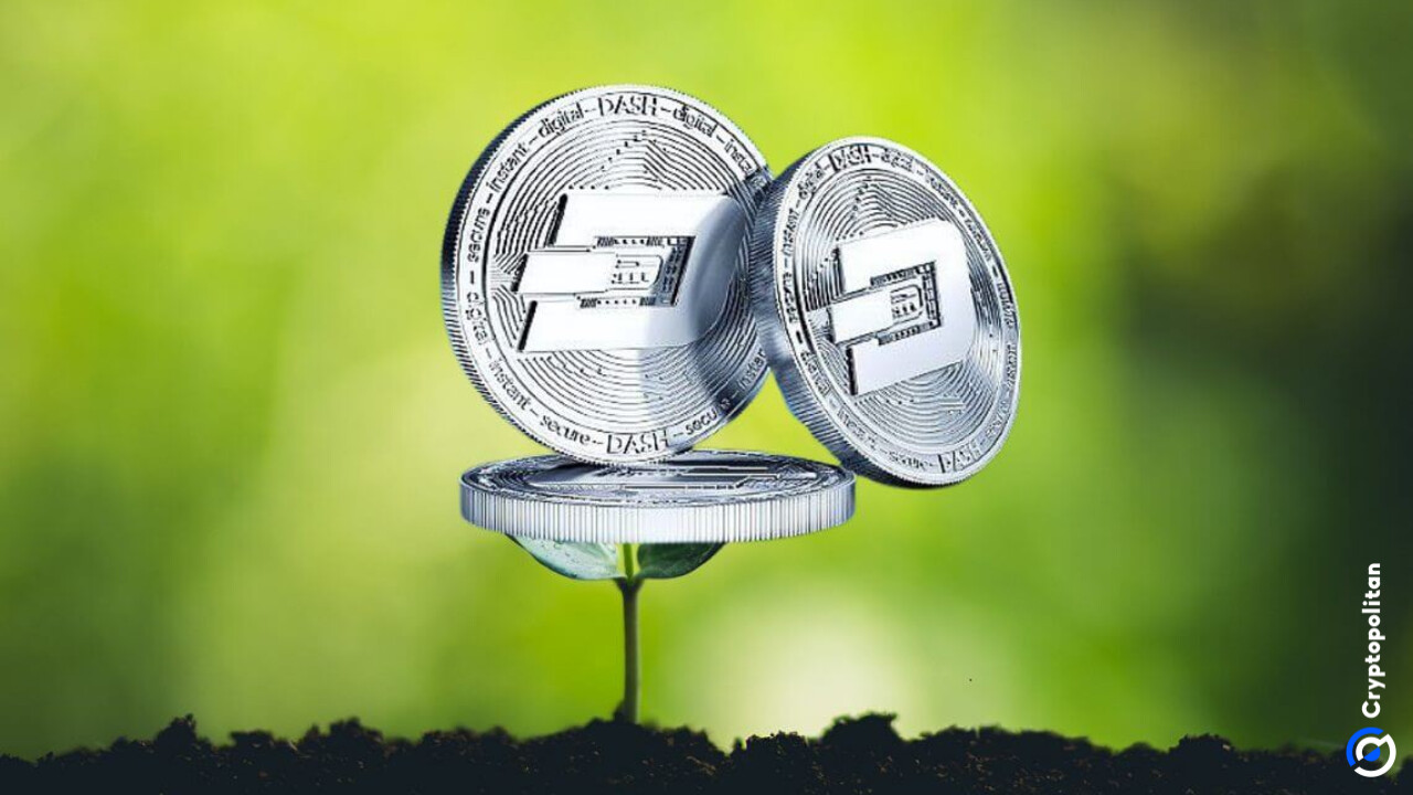 Dash 2026-2032 年价格预测:DASH 即将复苏吗?配图